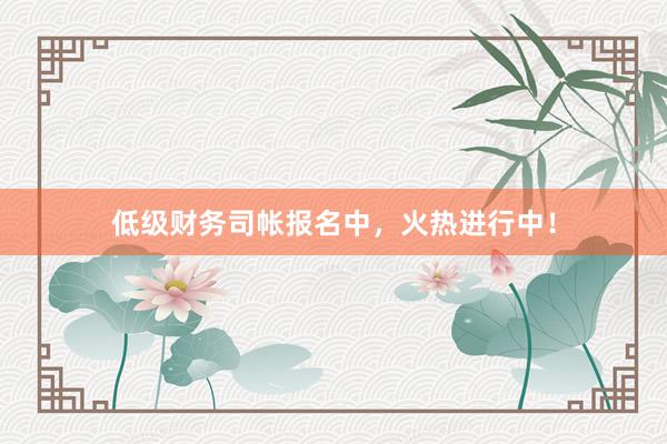 低级财务司帐报名中，火热进行中！