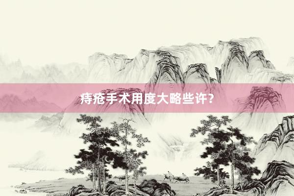 痔疮手术用度大略些许？