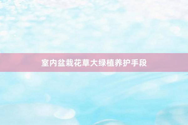 室内盆栽花草大绿植养护手段