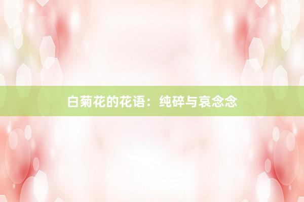 白菊花的花语：纯碎与哀念念